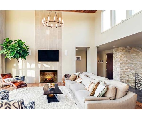 Dimplex Revillusion 42-inch Built-in Firebox with Glass Pane and Plug Kit (RBF42-FG)