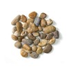 Large River Rocks (2)  + $161.98 