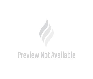 Dimplex Replacement Power Supply for CDFI1000 Electric Fireplace